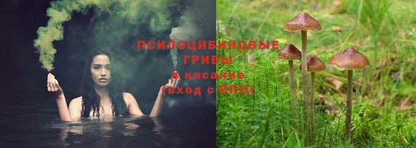 амф Новозыбков