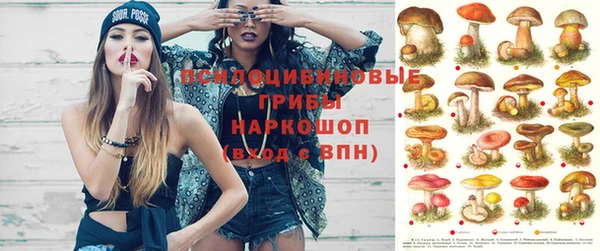 герыч Белокуриха
