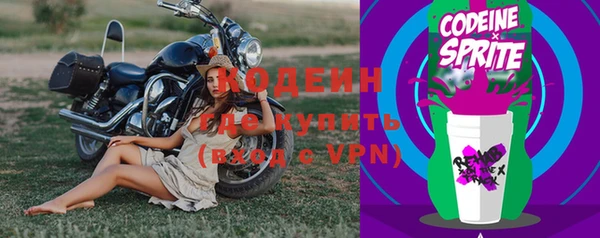 амф Новозыбков