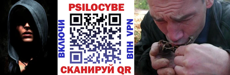Псилоцибиновые грибы ЛСД мега как войти Мглин